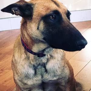 Meet your Posher, Eric